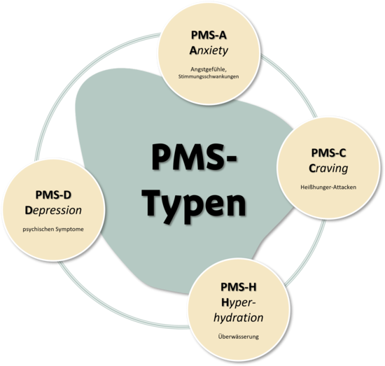 Infografik PMS-Typen